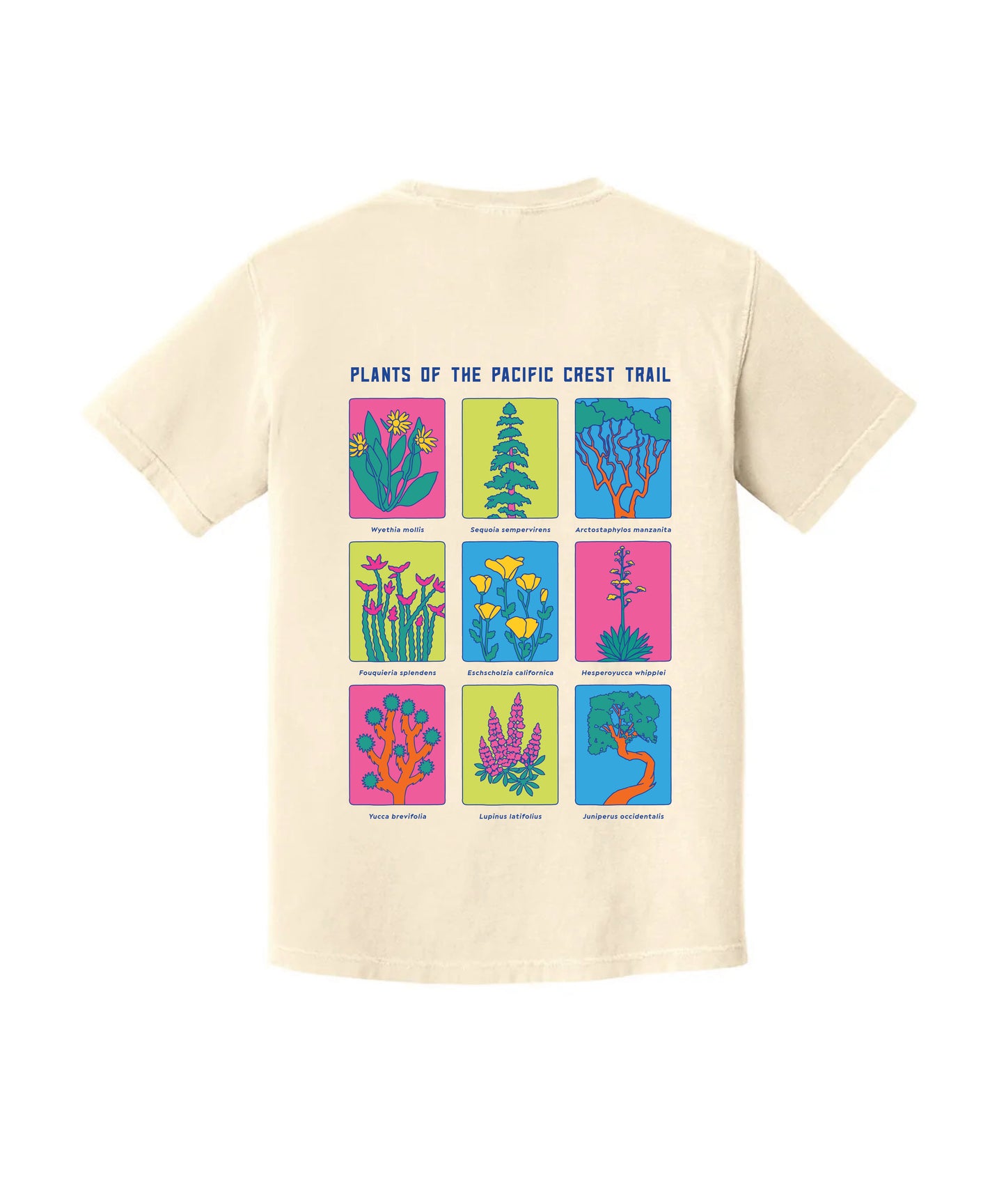 
                  
                    *PREORDER* Itacate Pacific Crest Trail Tee
                  
                