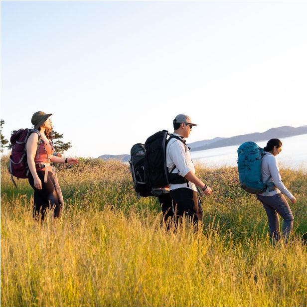 two women 1 man backpacking through tall grass